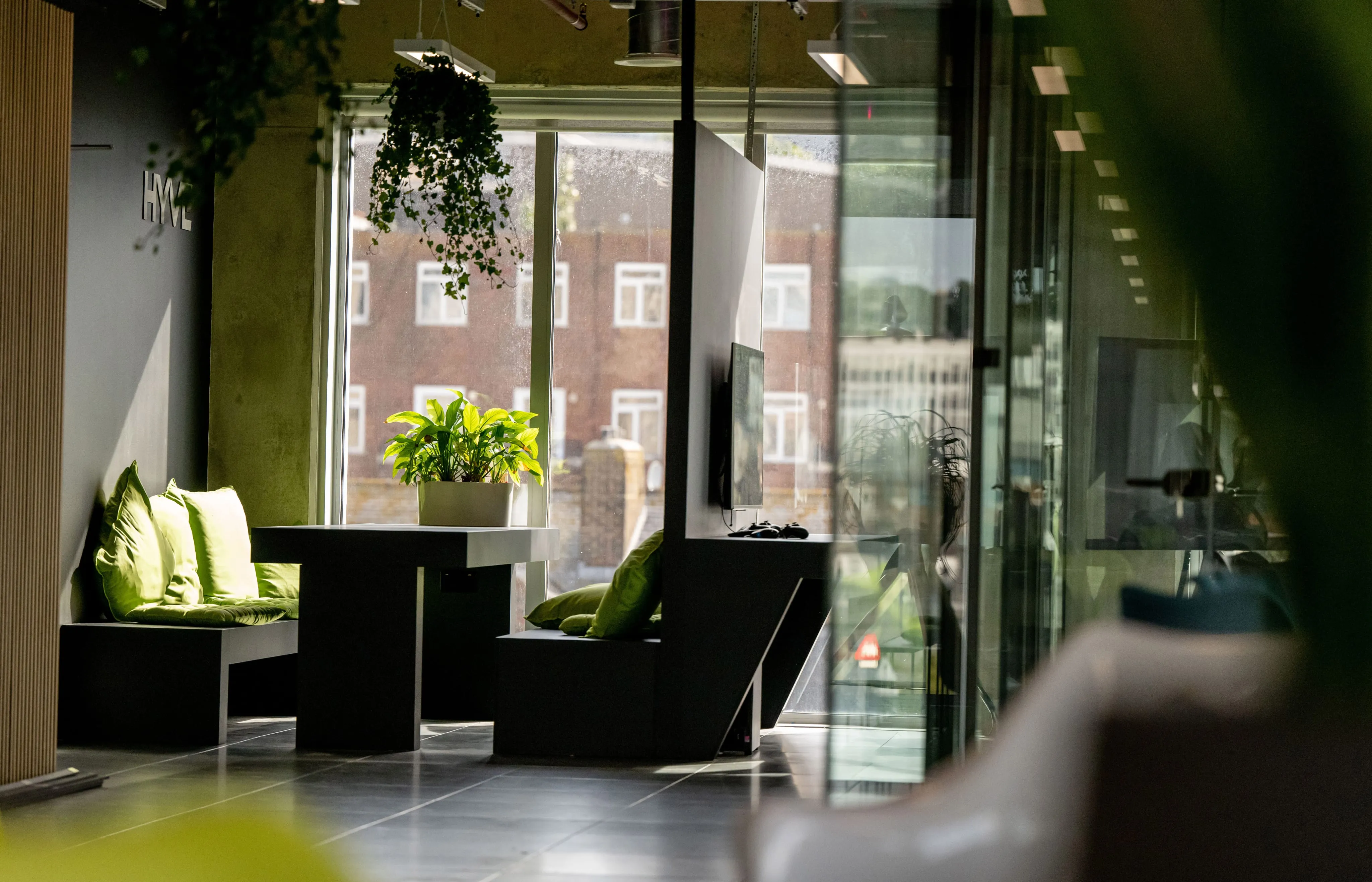 Hyve office lounge with plants beside the windows