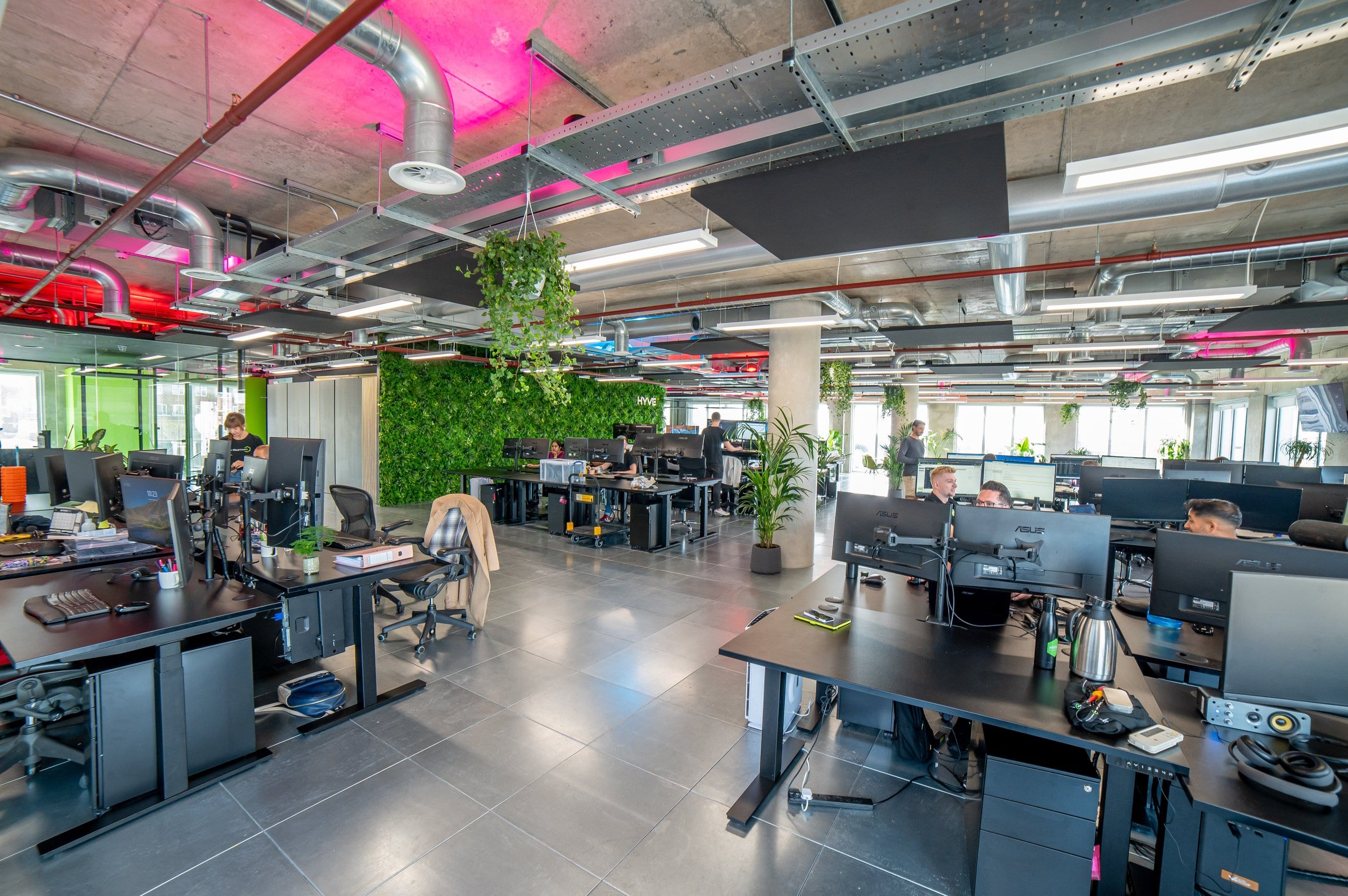 Open-plan Hyve office with desks and a green wall