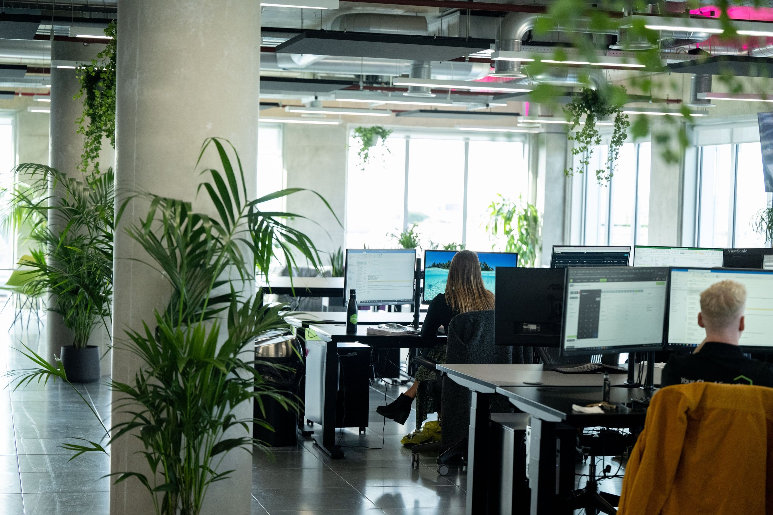 Open-plan Hyve office with plants