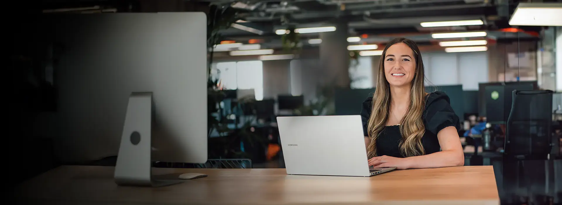 Professional in an office using a laptop