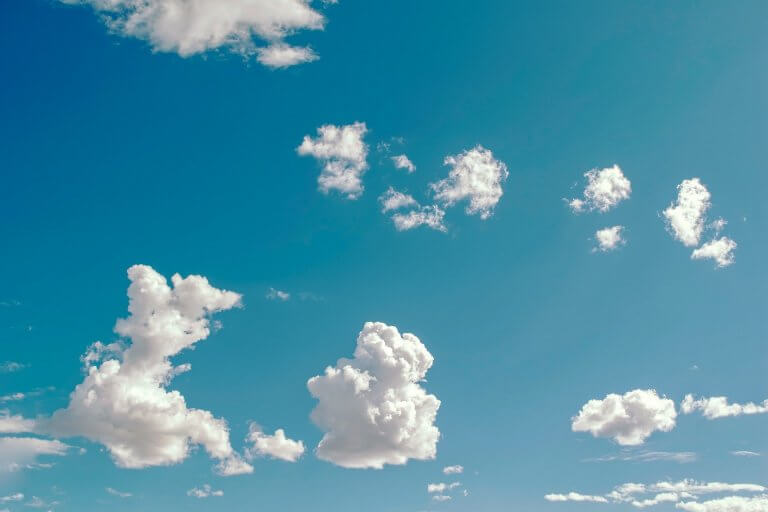 C C