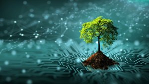World Environment Day